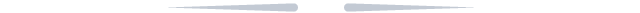作文秘籍全套_[秘籍]七天大法让你的中考作文迅速升格(三)
