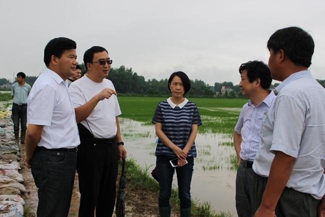 枞阳在线消息 7月3日,县委常委,纪委书记胡忠新一行到老洲镇检查指导