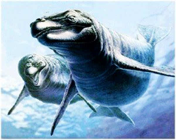 巴基鲸的祖先图片