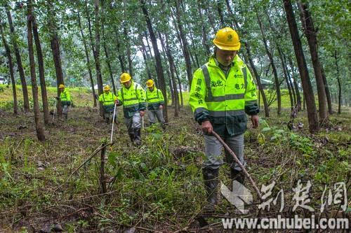 省电力公司应急办主任李培乐介绍,本次持续强降雨灾害期间,湖北电网