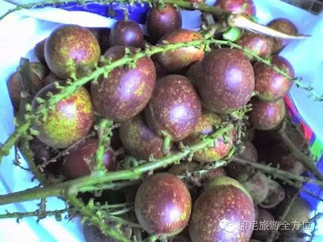 你绝对没吃过的印尼特色水果:buah matoa