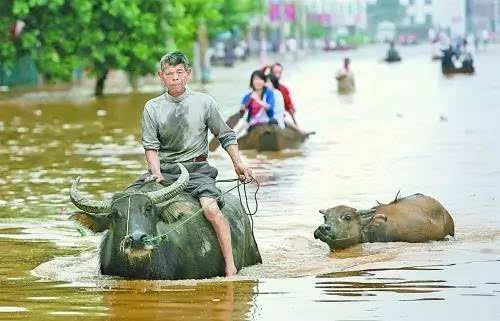 中国大神国内牛人自制“鸥翼门”两栖车!下地入海无所不能!(图14)