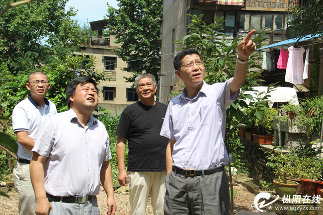 枞阳在线消息 7月18日,市委常委,县委书记刘亚东到枞阳镇地质灾害点