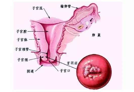 而几乎所有