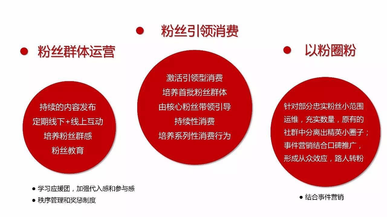 新宠儿:网红时代下的粉丝经济