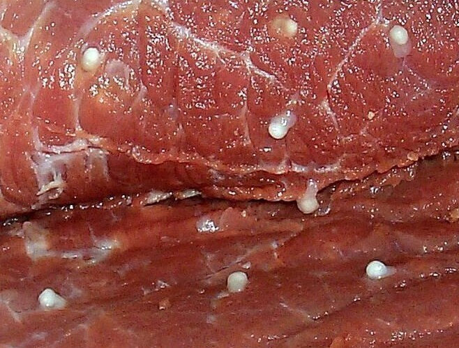 豆猪肉图片怎么鉴别图片