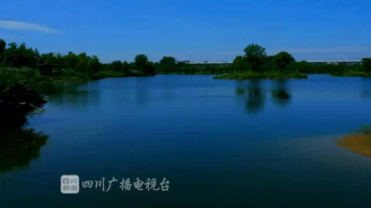 江安湖湿地公园图片