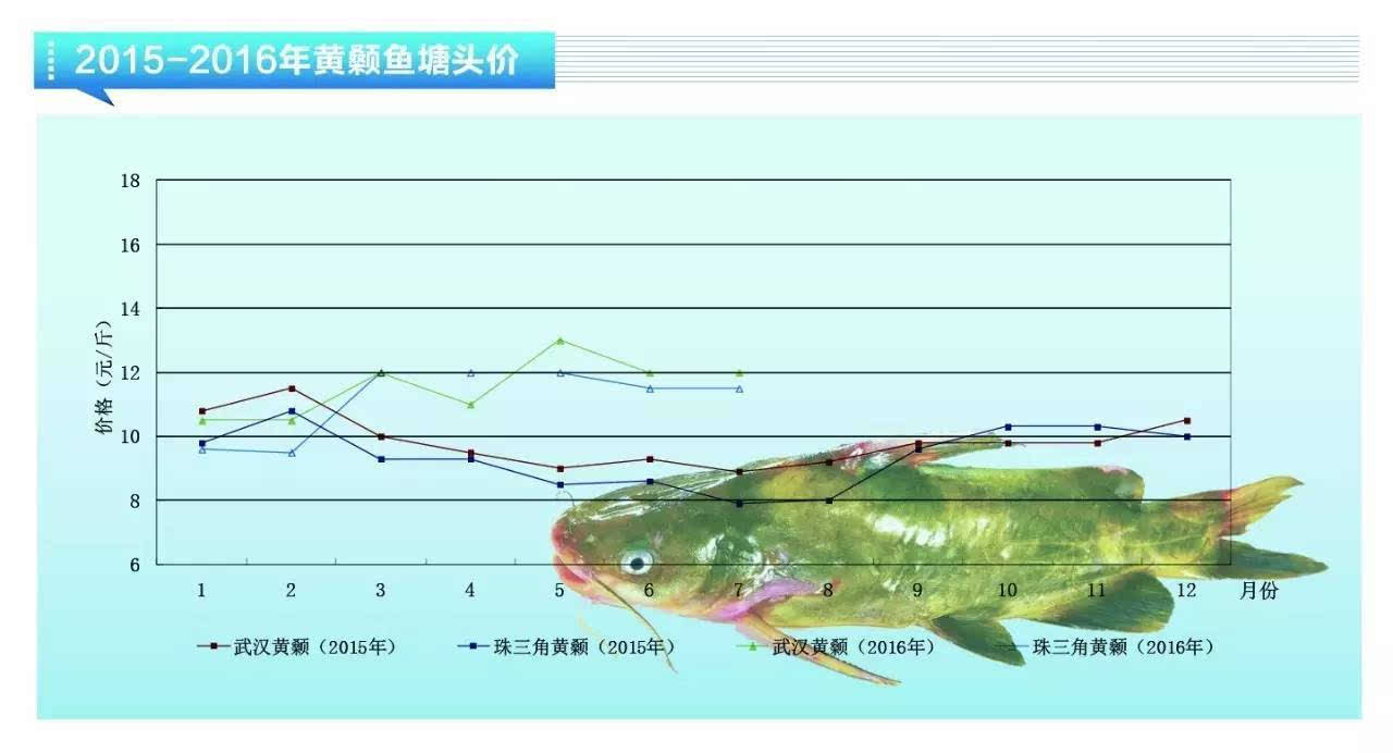 价格 8月份黄鳝,黄颡鱼,生鱼价格行情预测