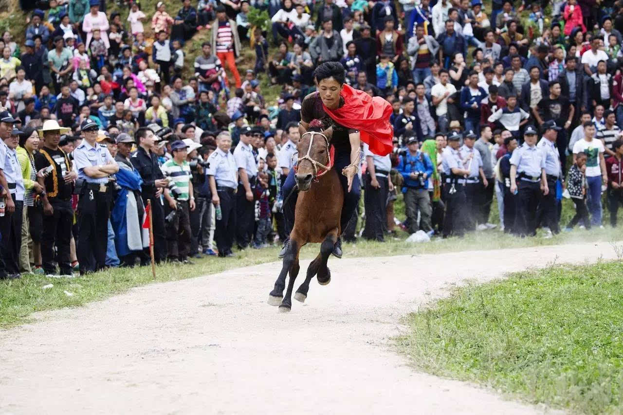 彝族服饰表演,摔跤,斗牛,斗羊,赛马 一个个精彩的节目,迎来了上万人