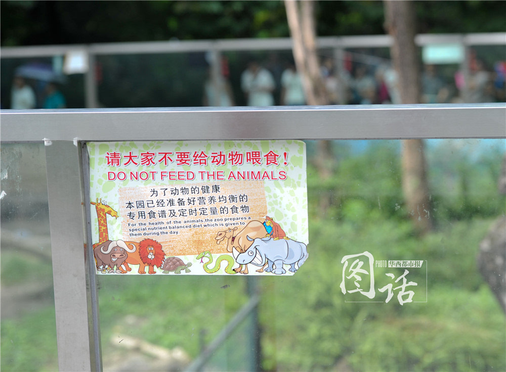猪场生物安全警示标语图片