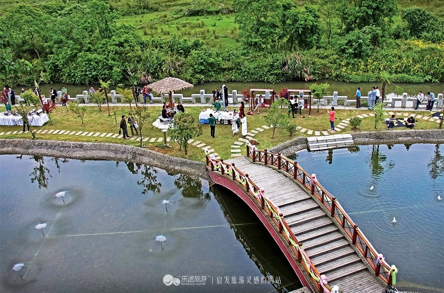 林恩茶研园:生活不止眼前的苟且