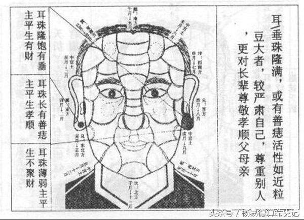 历史最详细的面相耳朵图解作者杨易德