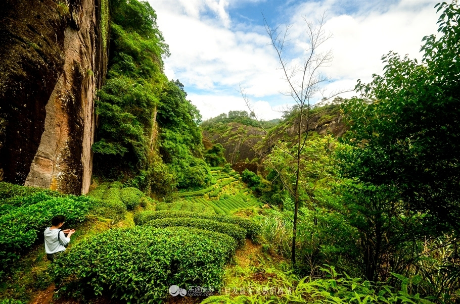 武夷山充满神话色彩的岩茶故乡