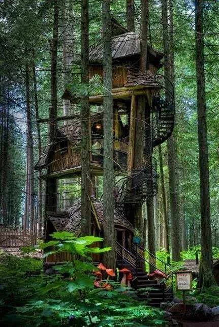 加拿大不列颠哥伦比亚省三层树屋童话里的树屋你有没有一刻,特别想