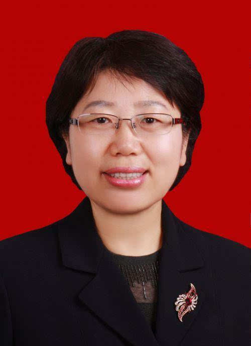 陈俊任商洛市委书记 郑光照任商洛市委副书记