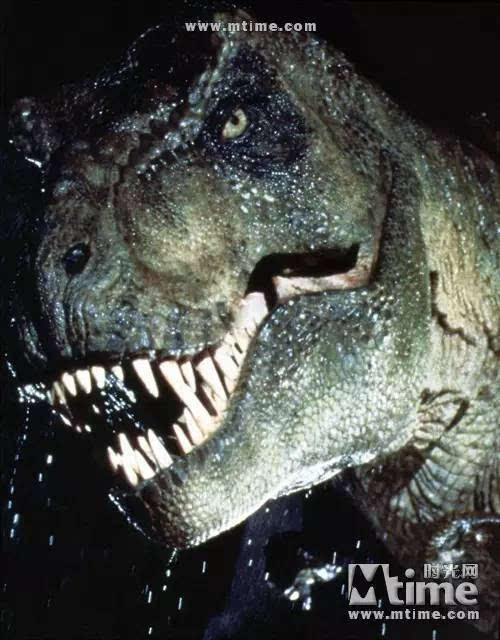 恐龙真的会放下嘴边的肉不吃,跑去追人吗?图啥啊?