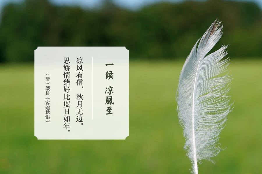 原来你是这样的女孩! | 立秋