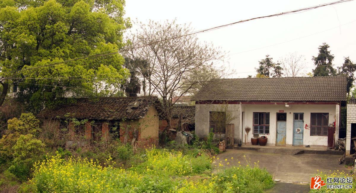 湖南乡下老房子图片图片