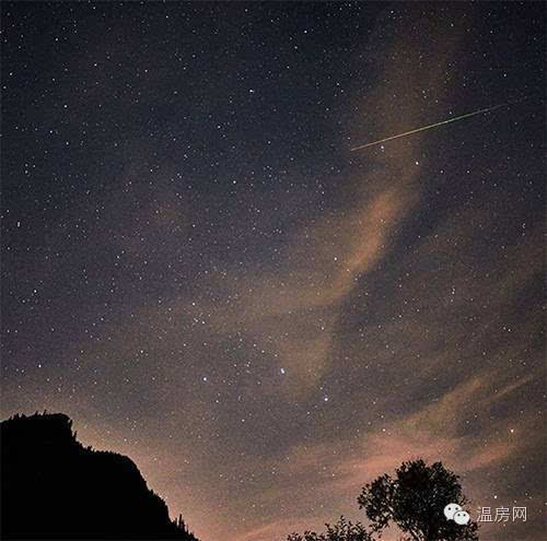 或許你仰望天空卻沒看到流星,或許昨夜你早已入睡,不知道昨晚你有沒有