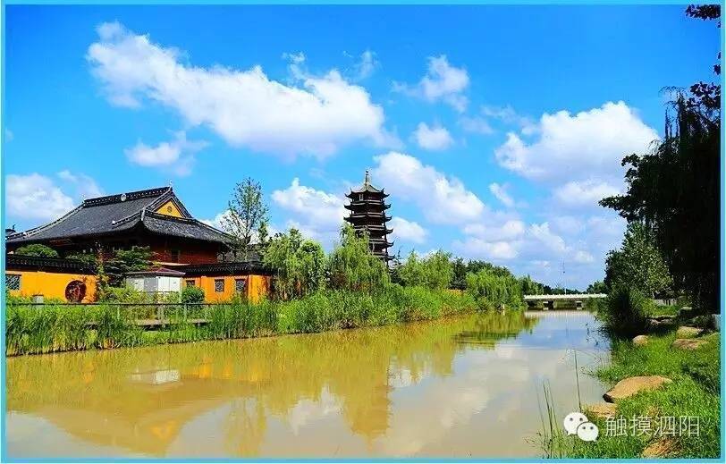 泗阳风景图片