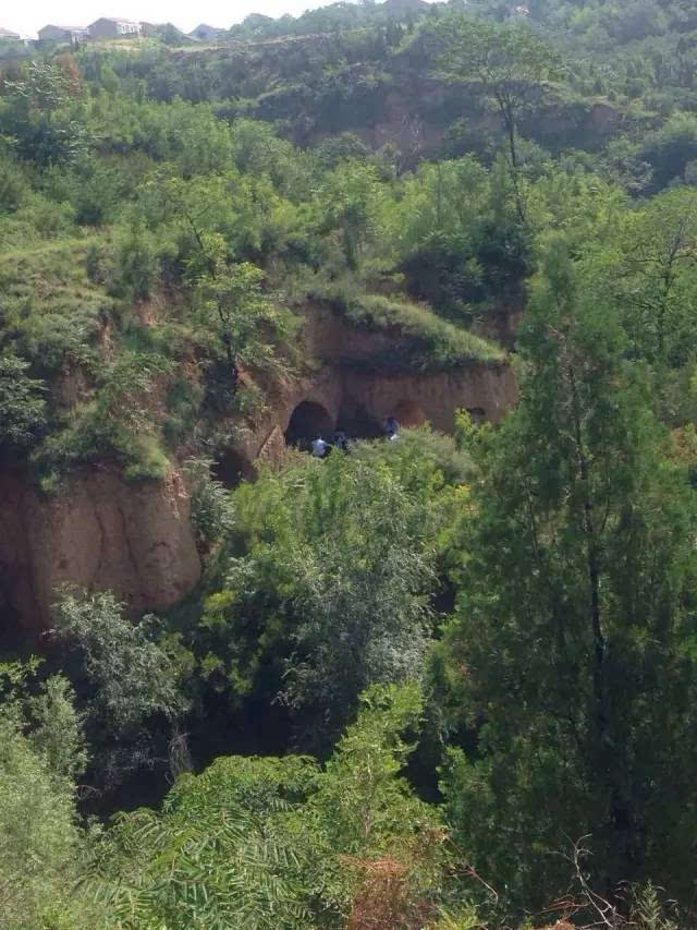 山西绛县三女孩命案图片