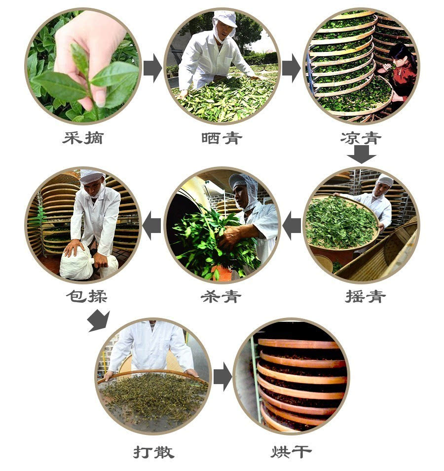 绿茶制作工艺流程图片