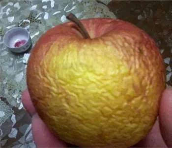 看看车上老婆放的苹果早就蔫了,水果更不必说了,瞧?