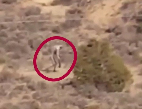 网友在葡萄牙沙漠拍到奇怪人形生物：是卓柏卡布拉、还是骗局？