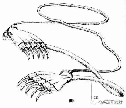 中国古代奇门兵器:难登大雅之堂的暗器