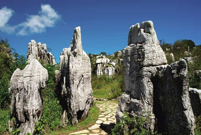 毕节八大景图片