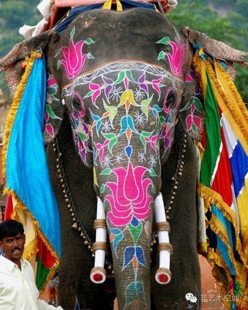 斋普尔大象节每年在印度教重要节日洒红节前夕举行,举办大象选美