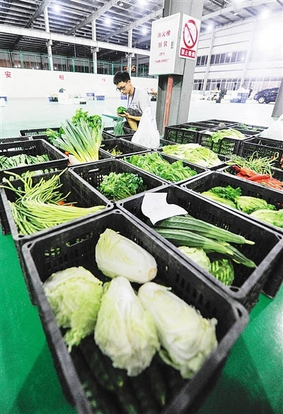 生鲜蔬菜分拣加工中心图片