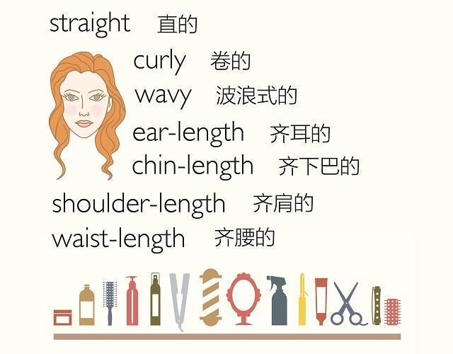 看图,学习英文中一些常见的男式和女式发型名称