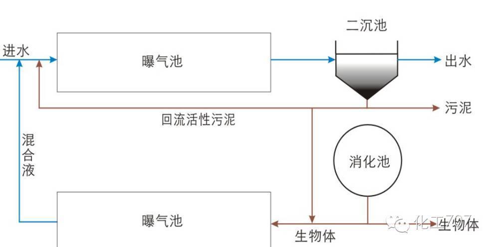 活性污泥法的传统与改进工艺大比拼你知道几种