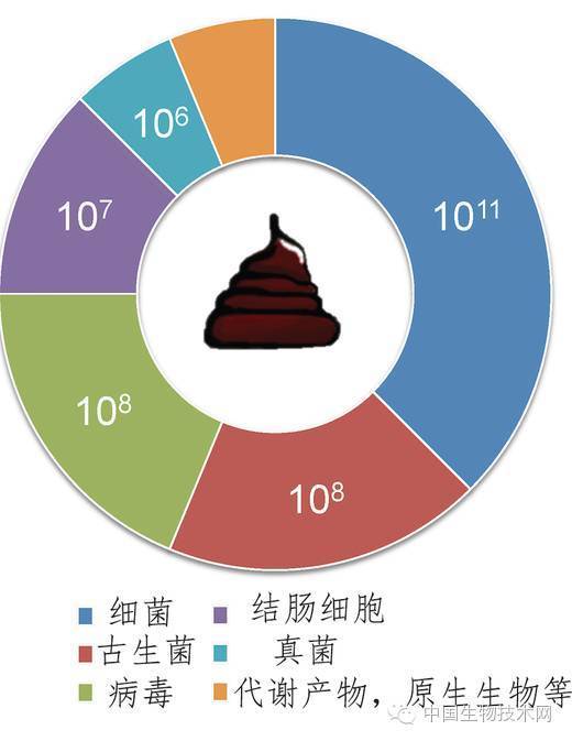 發青睞,是因為該方法能十分有效地治療艱難梭狀芽孢桿菌(clostridium