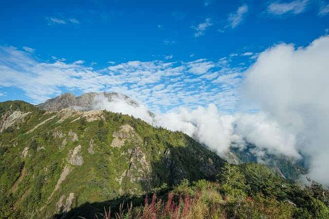 红军九峰山战术图片