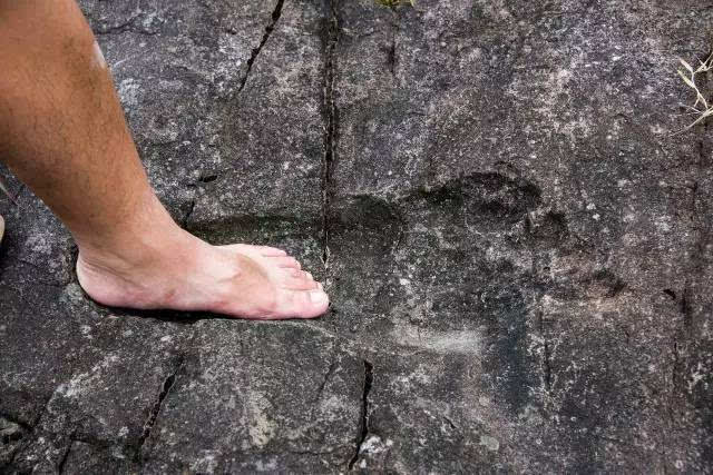 世界上最大的脚丫图片