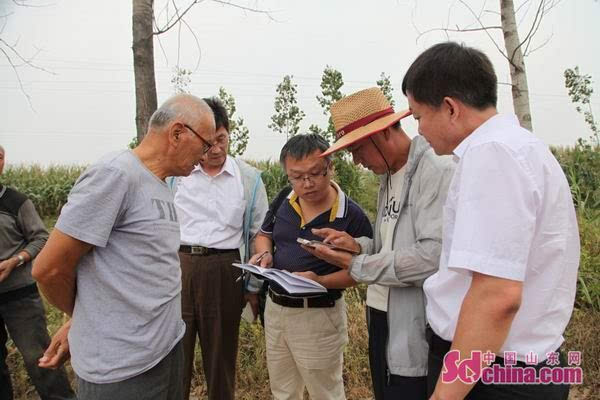 中国山东网9月26日(记者 马文文 通讯员 崔鹏森 李存强)近日,聊城市