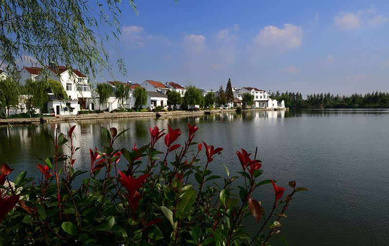 安徽芜湖农村的照片图片