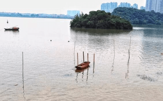 湾咀头湿地公园重开图片