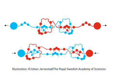 2016年诺贝尔化学奖:分子机器将在未来25-30年内出现