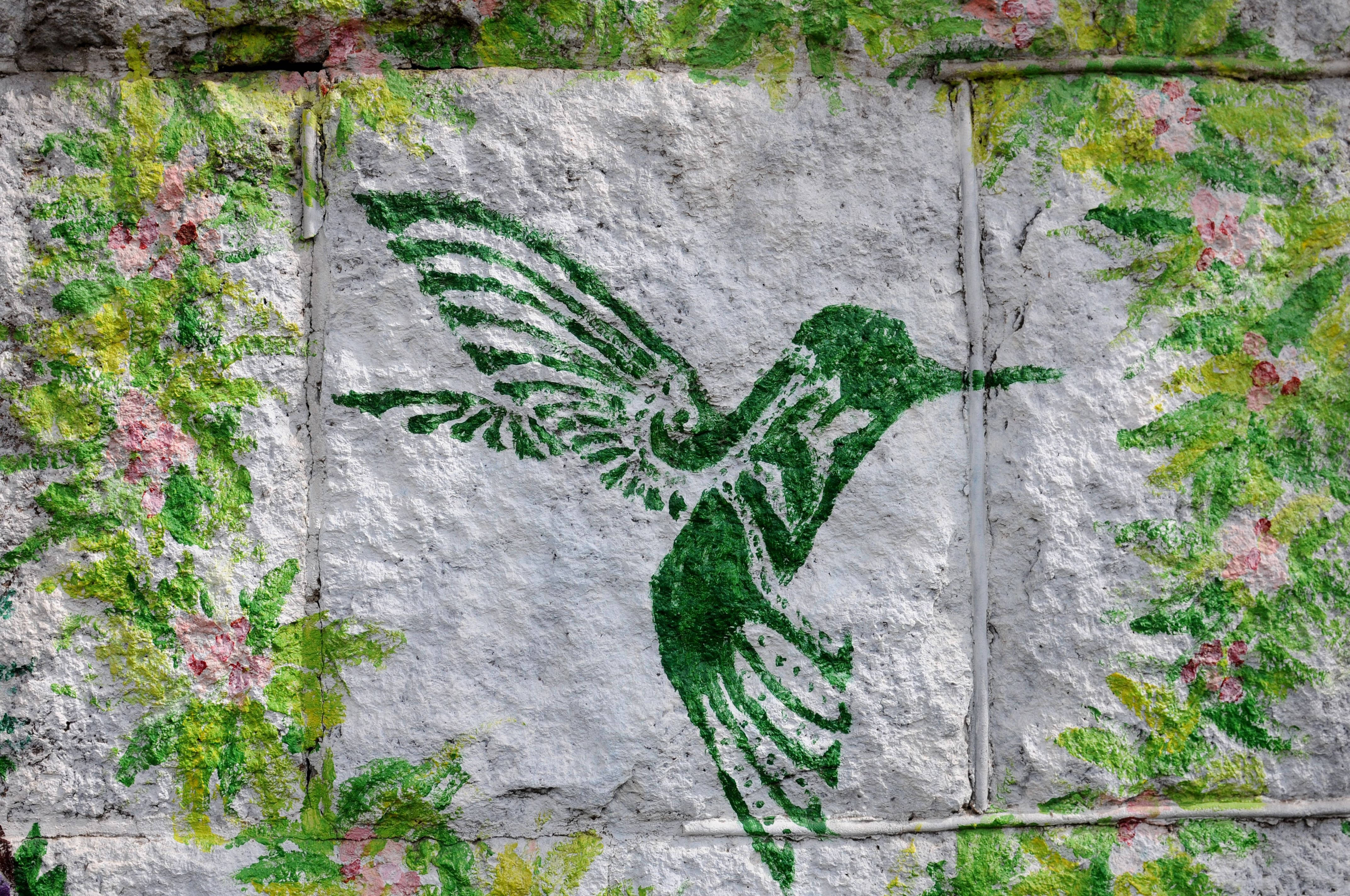 涂鸦漫画青岛大学路