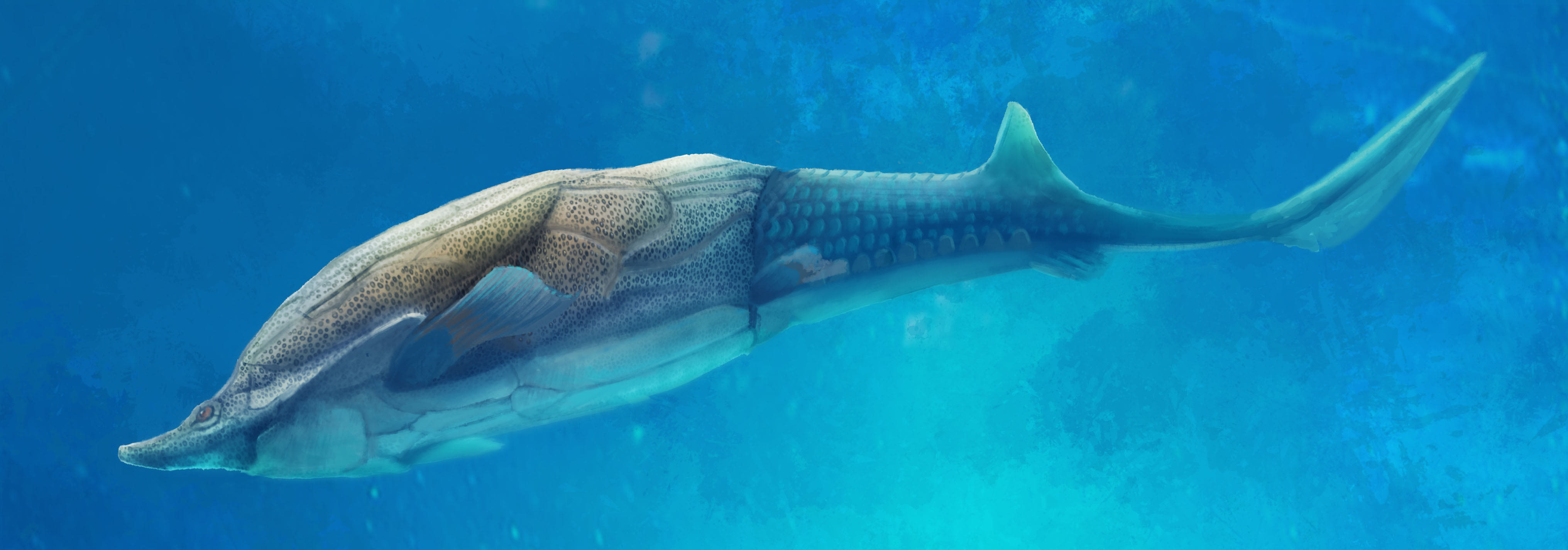 我国科学家的古鱼新发现揭示人类颌骨来源之谜