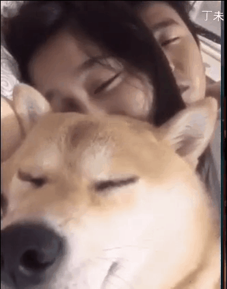 332_422竖版 竖屏gif 动态图 动图