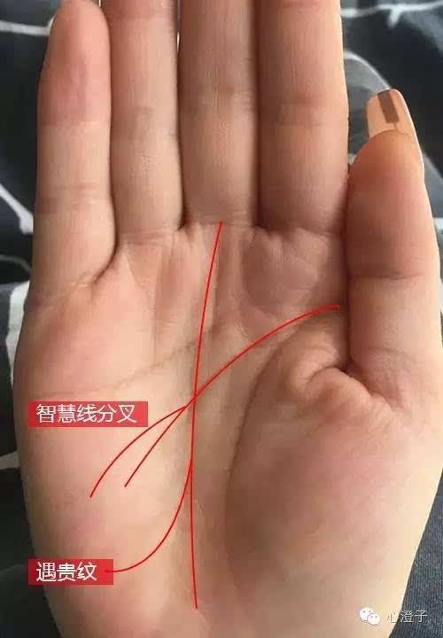 什么样的手相有艺人范儿?