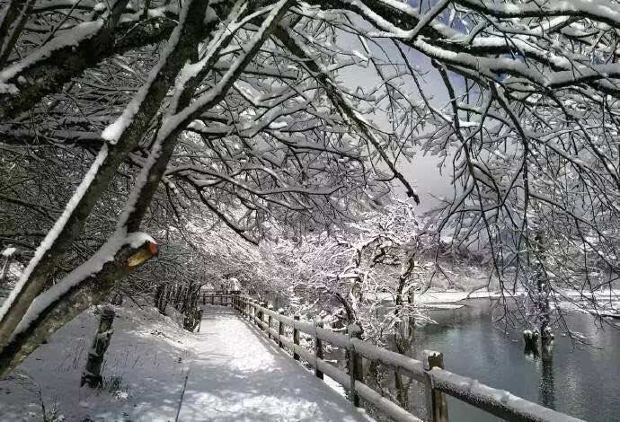 四川这些景区提前下雪了,雪景实拍,直接刷爆朋友圈!