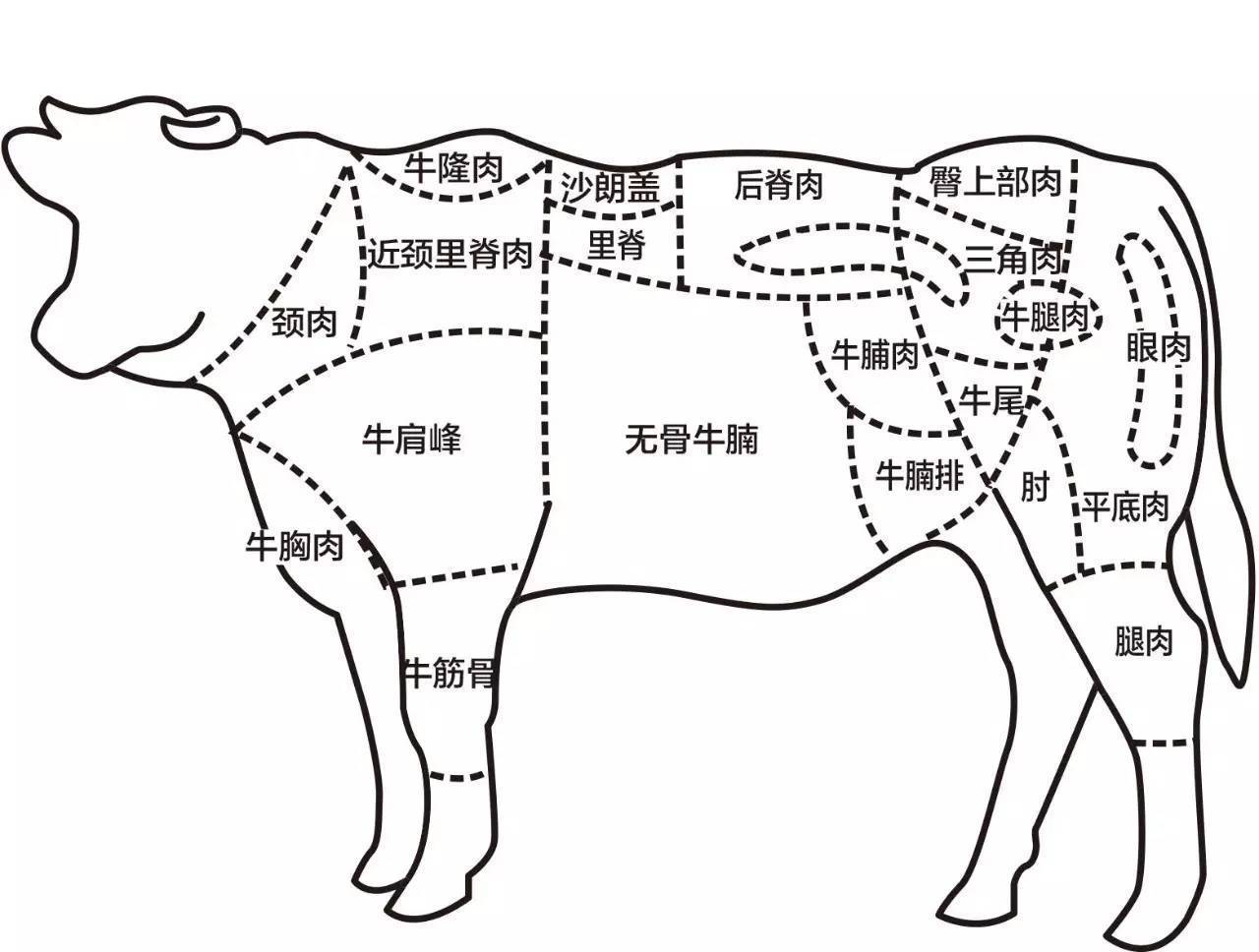 牛肉分解图高清图示图片