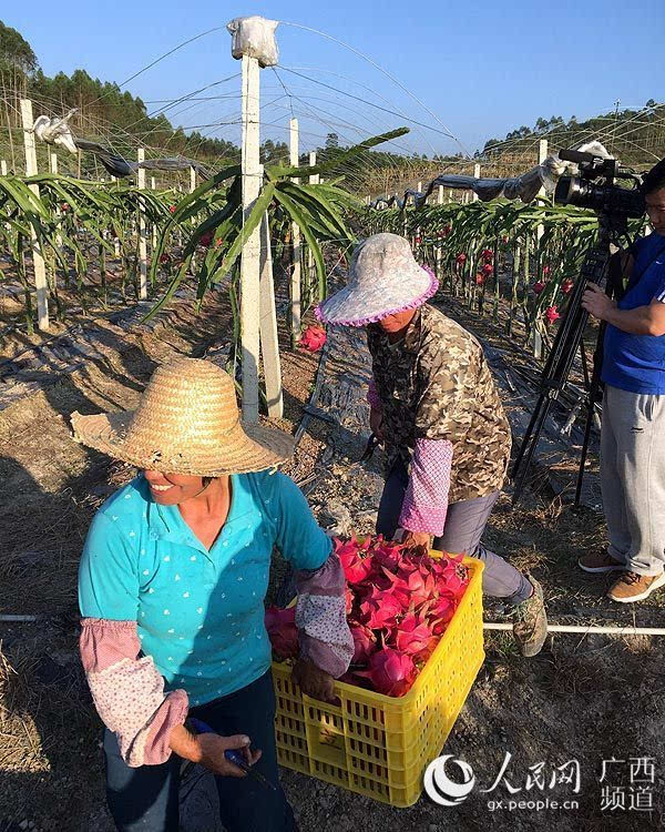 平果四塘镇图片