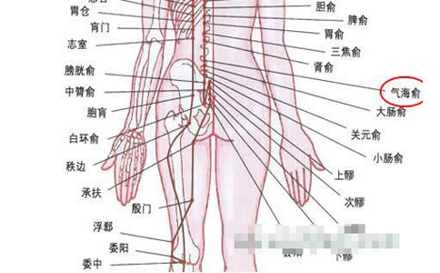 气海腧图片