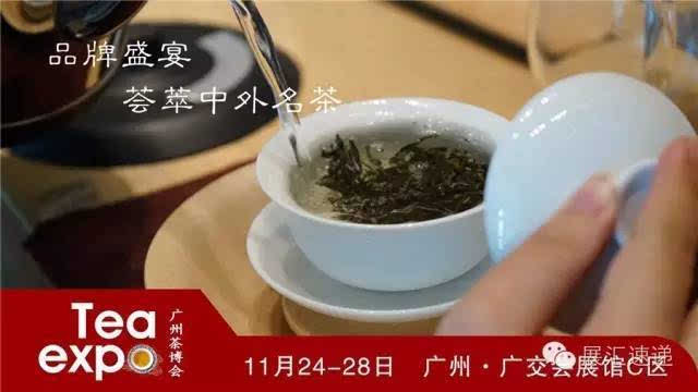 中国茶业年度大戏广州茶博会11月2428日约茶约您